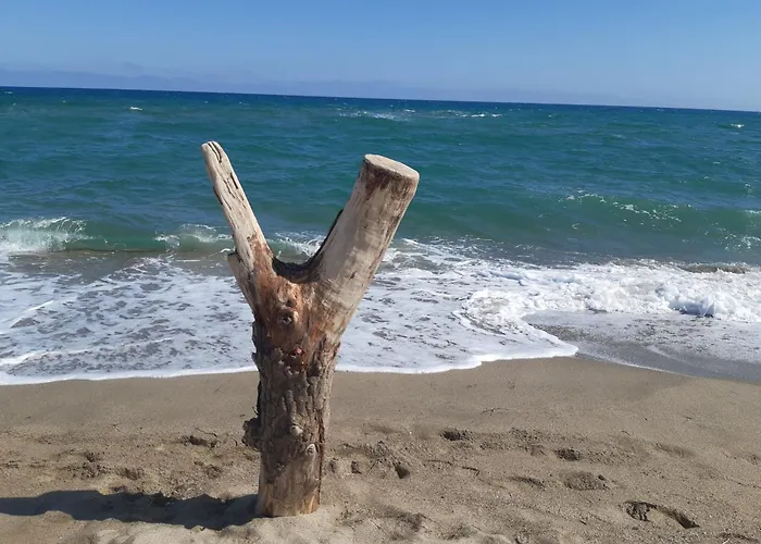 Διαμέρισμα T2 A Port Leucate, Piscine, Parking, Proche - Fr-1-798-8 Leucate